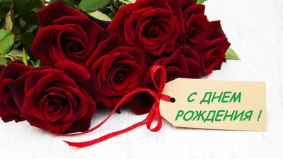Уважаемая Елена Александровна! Примите наши самые теплые поздравления с  Днем Рождения!