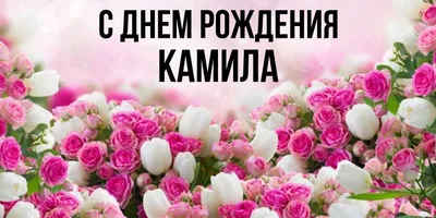 С днем рождения, Камила! — Республиканский русский театр драмы и комедии  Республики Калмыкия