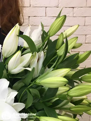 Красивый букет из белых лилий – купить с бесплатной доставкой в Москве