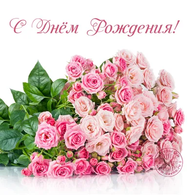 3 розовые лилии Азиатка | купить недорого | доставка по Москве и области