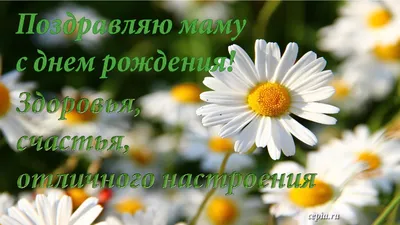 Смешная открытка с Днём Рождения Свекрови • Аудио от Путина, голосовые,  музыкальные