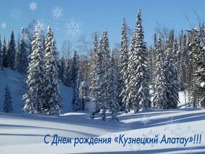 С Днем Рождения, Дженсен! » Сверхъестественное › Supernatural.ru › Cайт N1  в России