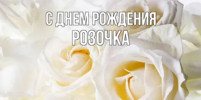 Картинки с днем рождения с именем Роза смешное