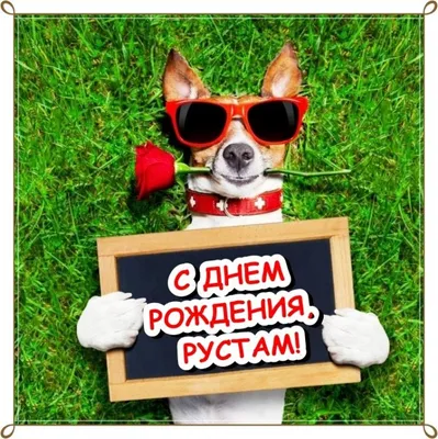 С Днем рождения Рустам Мавзурович! / Olamsport.com