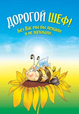 Гифки С Днем рождения начальнику: красивые, прикольные, скачать бесплатно