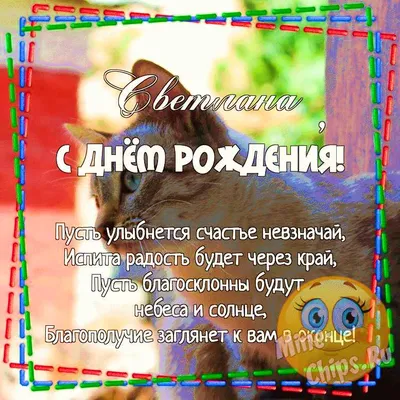 Подарить прикольную открытку с днём рождения Светлане онлайн - С любовью,  Mine-Chips.ru
