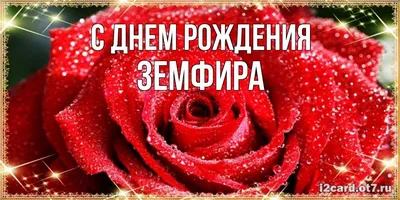 Pin by Алалаева Земфира on С днем рождения | Birthday wishes flowers, Happy  birthday celebration, Happy birthday bouquet