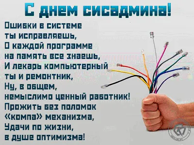Яркие новые открытки в День системного администратора 29 июля для для  россиян | Курьер.Среда | Дзен