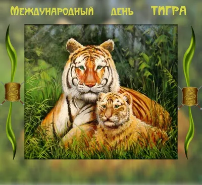 Фото дня: Международный день тигра в Московском зоопарке | Фотогалереи |  Известия