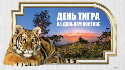 Добрые открытки в День тигра на Дальнем Востоке 24 сентября | Курьер.Среда  | Дзен