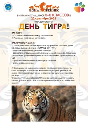 Поздравление тигру Шерхану с Днём Рождения от группы ВКонтакте АТиК