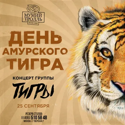 Сегодня международный день тигра
