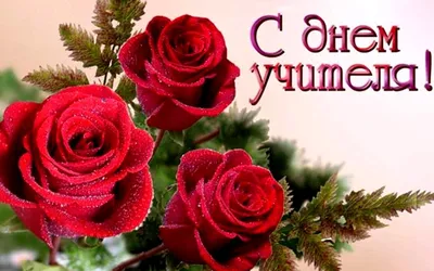 Купить букет на День Учителя недорого, цветы для учителей с доставкой по  Москве и области | Roza4u.ru