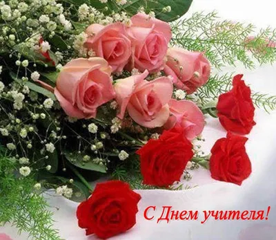 Открытка - поздравление с Днём учителя с красными розами