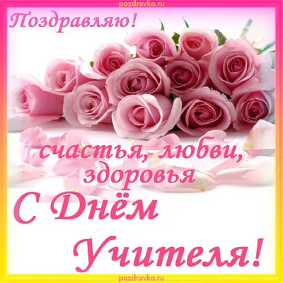 Купить Букет из гортензии и розы на день учителя с доставкой по Томску:  цена, фото, отзывы.
