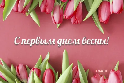 С первым днем весны: красивые и прикольные картинки к 1 марта - МК  Новосибирск