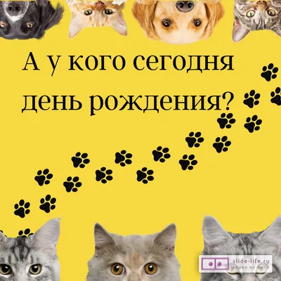 День воспитателя 27 сентября: красивые, необычные и прикольные картинки к  празднику - МК Новосибирск