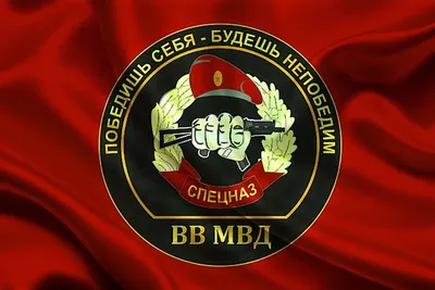 С Днём Внутренних Войск МВД России