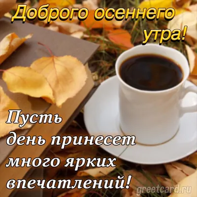 🍁С Добрым Осенним Утром!!!Доброе утро!🍂#доброеосеннееутро#сдобрымутр... |  TikTok