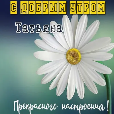 Таня Ст. | Floral wreath, Flowers, Good morning