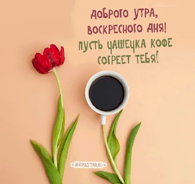 С добрым воскресным утром! 😃😀😄 | С добрым утром! (открытки) | ВКонтакте