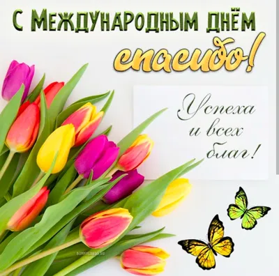 Сегодня – Всемирный день «Спасибо»: что это за праздник? | Новости Одессы
