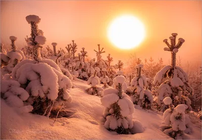 Зимние красивые открытки и необычные картинки с добрым утром