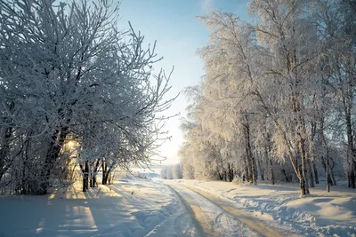 Морозным днем. Фотограф Михаил Глаголев