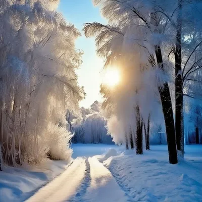 зимняя панорама морозным днем возле ручья с деревьями в снегу, Россия, Урал  Stock Photo | Adobe Stock
