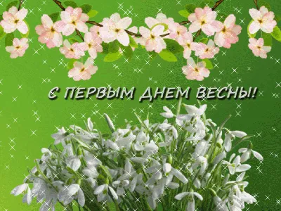 С НАЧАЛОМ 🍃🌺💜🌺🌿 ВЕСНЫ!