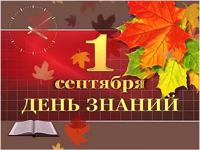 С новым учебным годом! Пусть всех детишек сопровождают удача и  настойчивость, а каждый урок приносит радость от открытия новых  горизонтов.… | Instagram