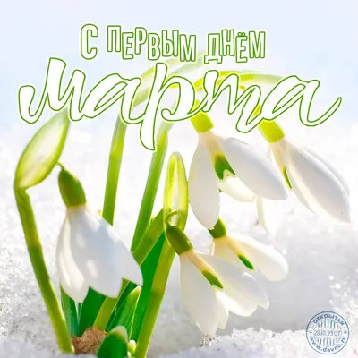 Херсон Любимый - С первым днём весны🌷🌷🌷 | Facebook