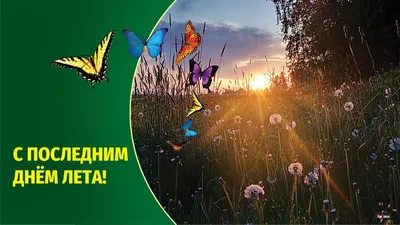 Последний день лета – лучшие картинки и открытки – фото и видео