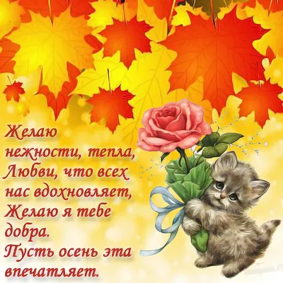 Последняя осень (Много фото!) - treepics.ru