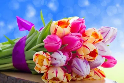 Тюльпаны и поздравительная карточка | Праздник, Праздничные открытки,  Открытки