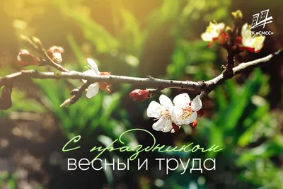 Поздравляем с праздником весны! — «Перевод.РУ»