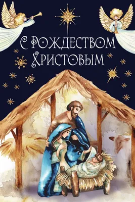 Как поздравить родных и близких с Рождеством: лучшие картинки к празднику |  Українські Новини