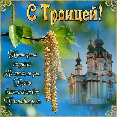 С Троицей открытки для православных и счастливые поздравления на 20 июня  2021 года