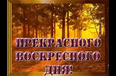 Одним морозным воскресным днём...Самые яркие кадры 20 декабря