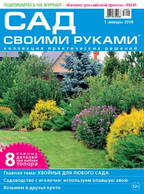 Все для сада своими руками — купить книги на русском языке в Польше на  Booksrus.pl