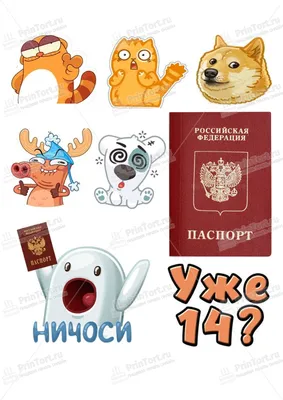 Бенто торт с сахарной печатью – купить за 2 000 ₽ | Кондитерская студия LU  TI SÙ торты на заказ