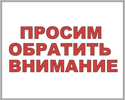 Гадание на игральных картах. Как предсказывать будущее на колоде из 36  карт. Огински А. купить, отзывы, фото, доставка - СПКубани | Совместные  покупки