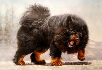 Видео: Самые мощные собаки, с которыми лучше не связываться