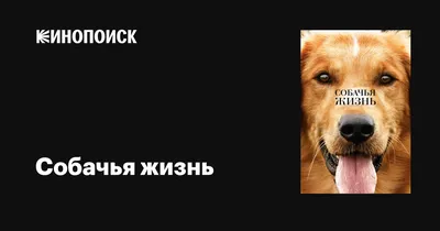 Здравствуй, грусть. 5 отличных фильмов для меланхоличного вечера | Кино |  Time Out