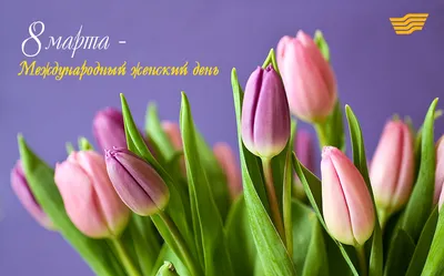 Принимаем заказы к 8 марта! Самые красивые Тюльпаны у Нас!💐 Доставка точно  по вашему времени и месту! 🚚 Есть вопросы,задавай,не стесняйся!… |  Instagram