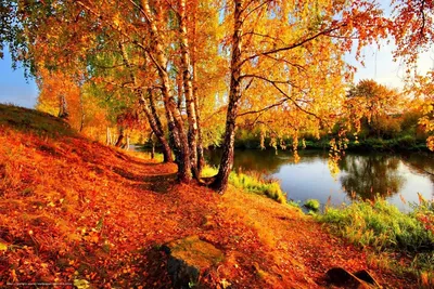 Золотая осень - красивые картинки (100 фото) - KLike.net