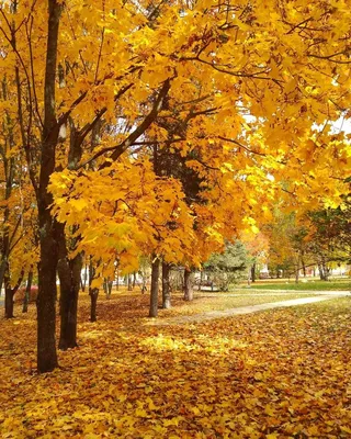 Где в России самая красивая осень: топ-10 лучших мест с фото