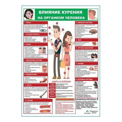 Здоровый образ жизни ЗОЖ медицинские плакаты от производителя с доставкой  по РФ