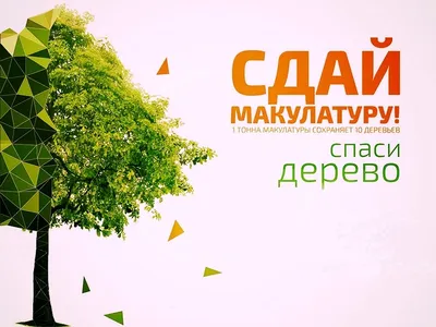 Сбор макулатуры - Новости - Детский сад № 51 г.Гродно