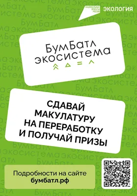 В Брянской области запустили масштабный сбор макулатуры — Брянск.News